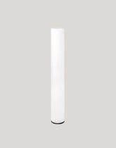 Kediri 63'' 160 Integrated LED Plug In Outdoor Floor Lamp